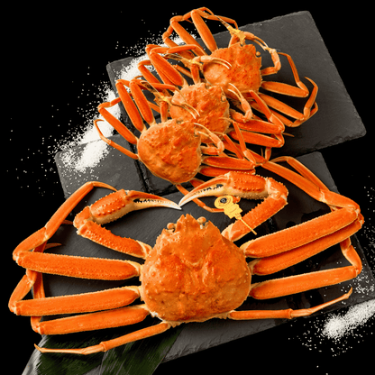 活〆ボイル越前ガニ夫婦セット - 雅 (2.5~3.5人前)