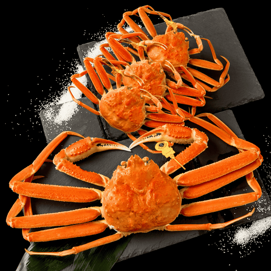 活〆ボイル越前ガニ夫婦セット - 雅 (2.5~3.5人前)