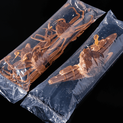 活生越前ガニ夫婦セット - 雅 (2.5~3.5人前)