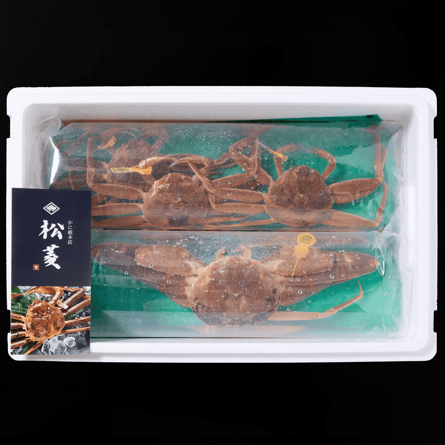 活生越前ガニ夫婦セット - 雅 (2.5~3.5人前)