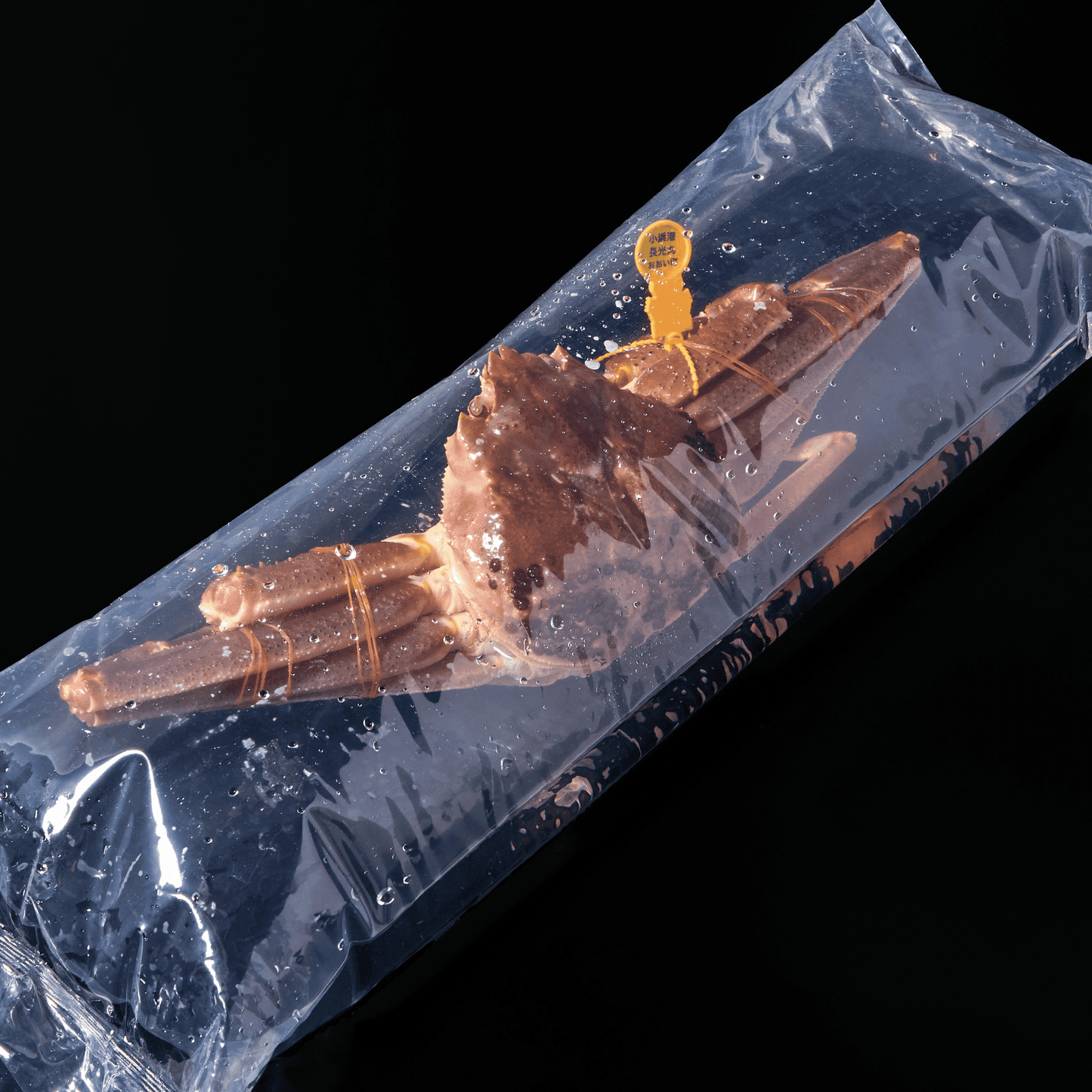 越前ガニ (超特大・2~2.5人前)