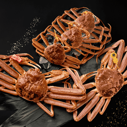 【唯一無二】越前/松葉/香箱ガニセット - 越松夫婦 (4.5~5.5人前)