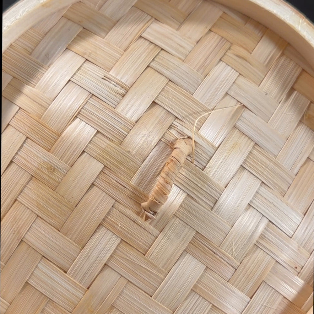 Step 5