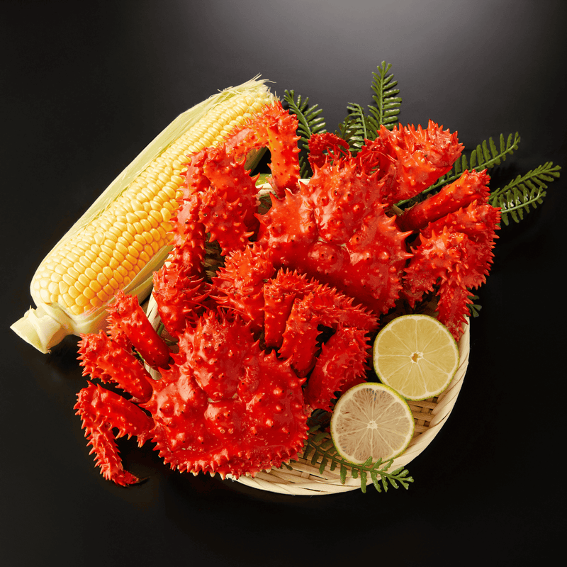 【発根済】CJハイブリッド(甲蟹交種) hanasakigani_800x.png?v=1753318768