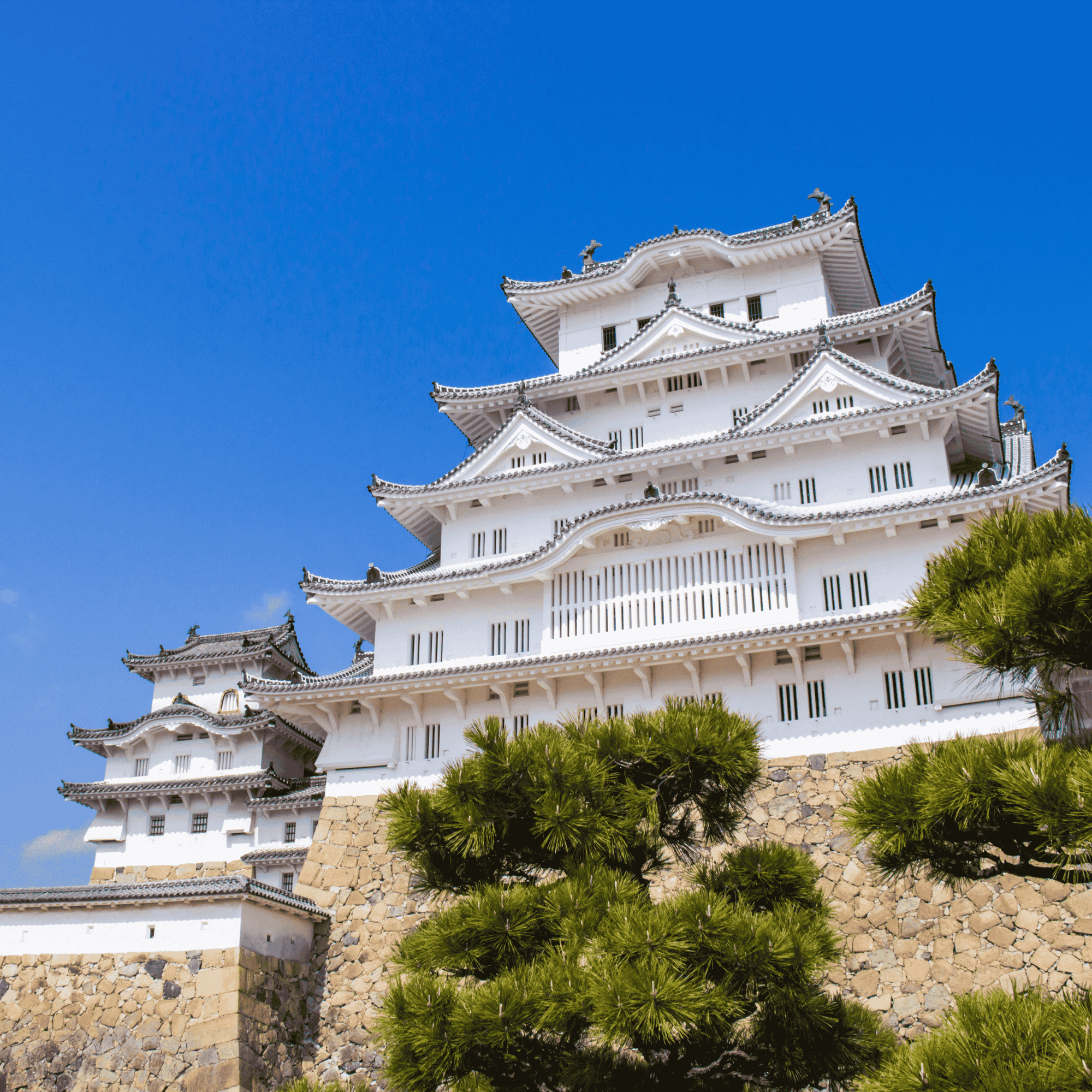 兵庫県