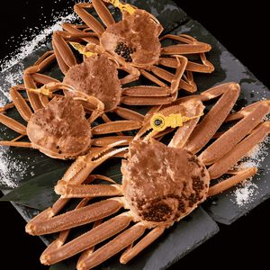 活生越前ガニ夫婦セット - 雅 (2.5~3.5人前)