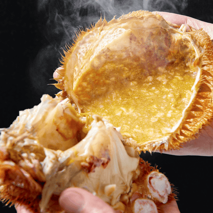 【流氷明け】毛ガニ (中・1-2人前)