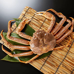 オオズワイガニ (大・1.5~2人前)