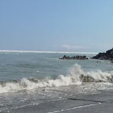 根室・納沙布岬の流氷と花咲ガニ