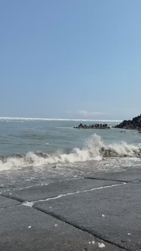 根室・納沙布岬の流氷と花咲ガニ