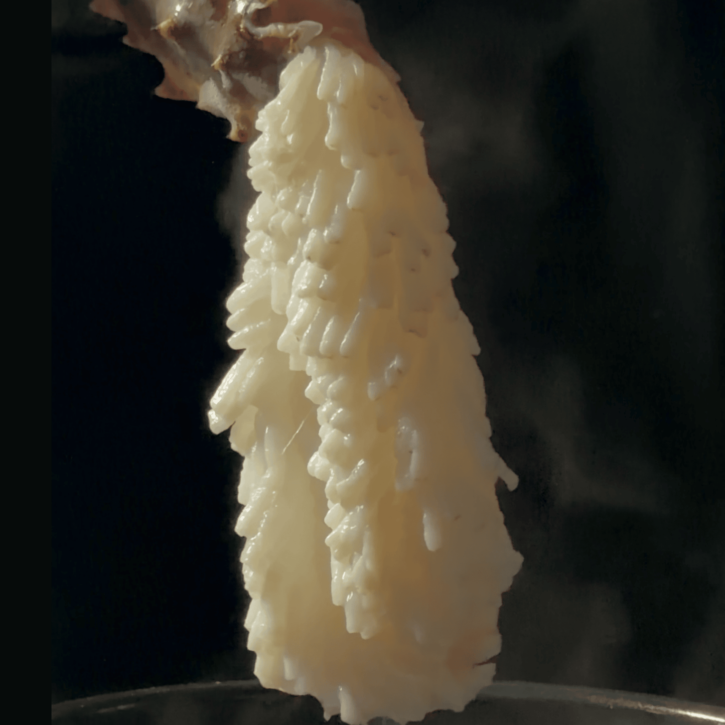 【流氷明け】タラバガニ (特大・3-4人前)