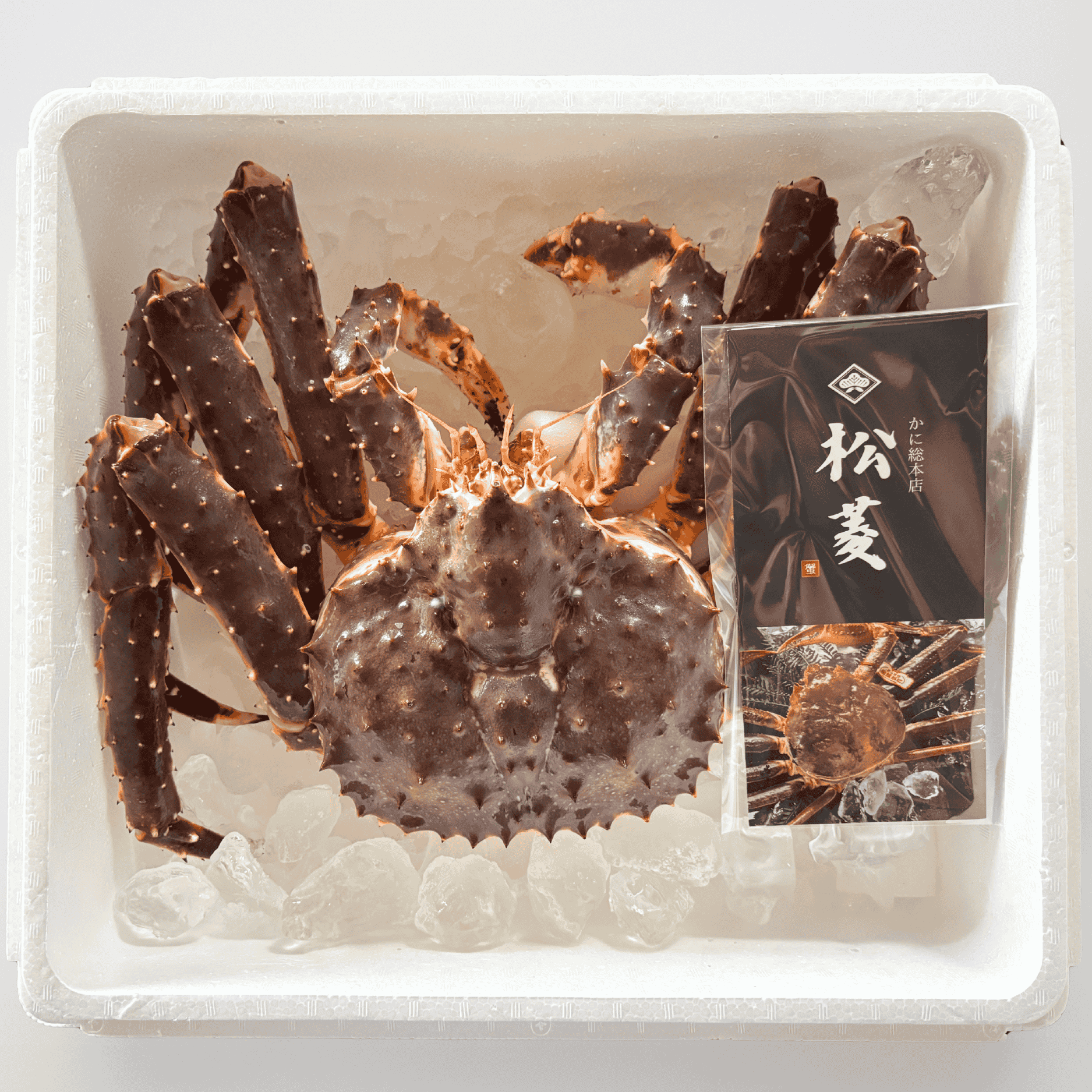 活生】タラバガニ(特大) 流通量1割未満の超希少品|国内最高峰サイズ 松菱 活生】タラバガニ(特大) 流通量1割未満の超希少品|国内最高峰サイズ 松菱