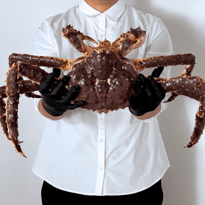 【流氷明け】タラバガニ (超特大・3.5-4.0人前)