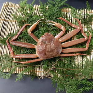 訳あり・松葉ガニ (大・1~2人前)