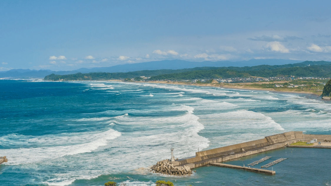 鳥取の海